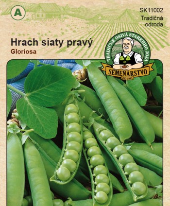 Hrach siaty pravý Gloriosa